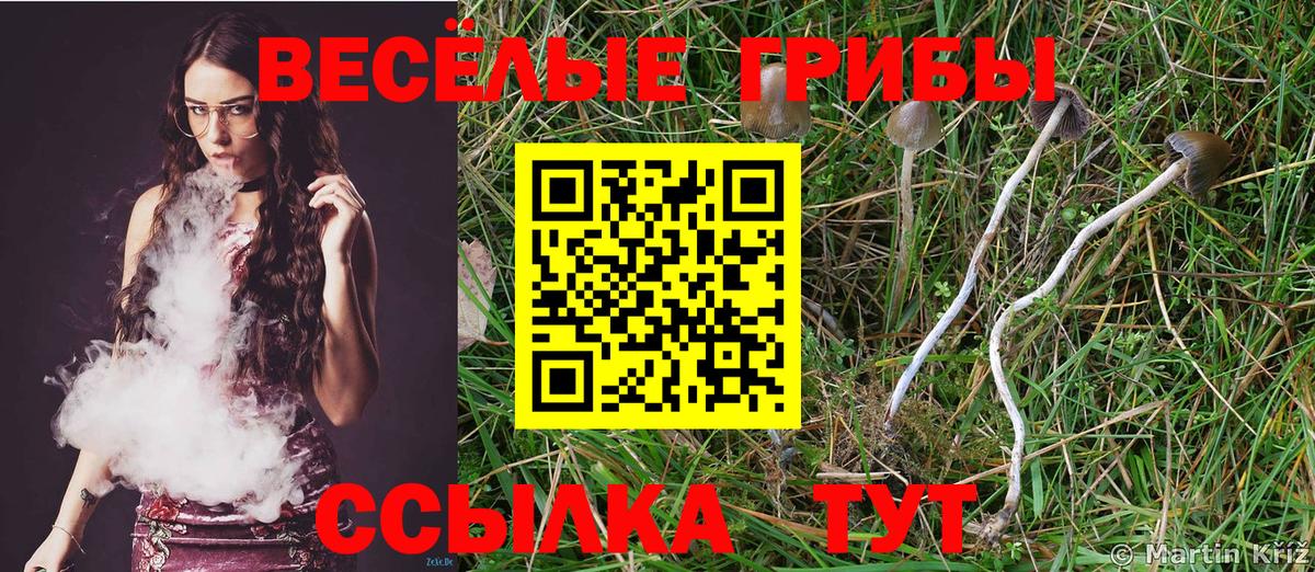 Псилоцибиновые грибы мицелий  Вход с VPN  цены наркотик  Воскресенск 